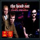 Head Cat (Lemmy/Slim Jim Phantom/Harvey) - Fool's Paradise Deluxe Edition, 2 CDs