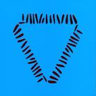 Warpaint - Fool (Deluxe Edition, 2 CDs)