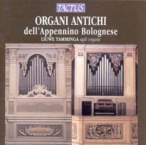 Liuwe Tamminga & --- - Organi Antichi Dell' Appennino