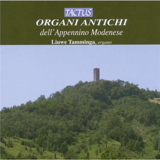 Liuwe Tamminga & --- - Organi Antichi Dell' Appennino