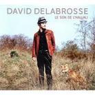 David Delabrosse - Le Son De L'hallali