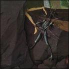 Danava - Hemisphere Of Shadows