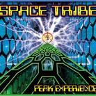 Space Tribe - Peak Experience