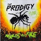 The Prodigy - Live - World's On Fire CD + DVD