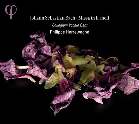 Collegium Vocale Gent, Dorothee Mields, Damien Guillon, Hana Blazikova, … - Messe Bwv232 In H-Moll 2 CD
