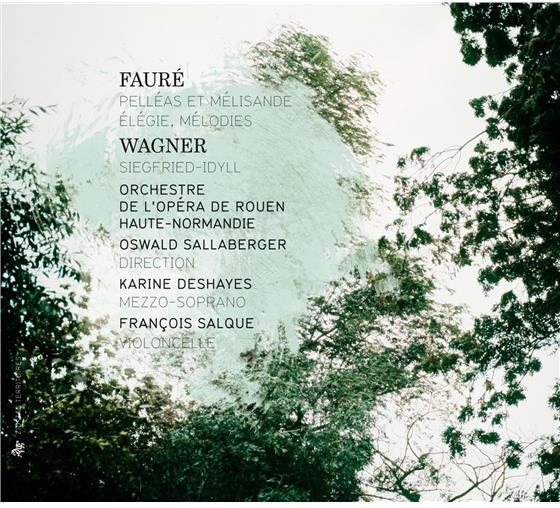 Deshayes Karine / Salque Francois & Gabriel Fauré (1845-1924) - Elegie, Melodies, Pelleas & Melisande Su