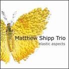 Matthew Shipp - Elastic Aspects