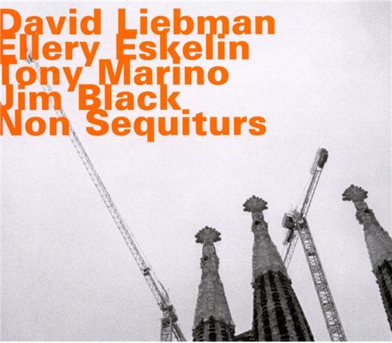 David Liebman & Ellery Eskelin - Non Sequiturs