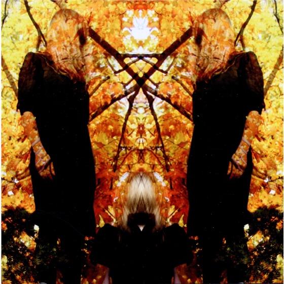 Austra - Feel It Break 2 CDs