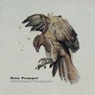 Hello Piedpiper - Birdsongs - Waresounds