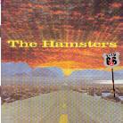 Hamsters - Route 666