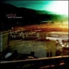 The Mole - What's The Meaning