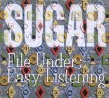 Sugar (Bob Mould) - File Under Easy Listening 2 CD + DVD