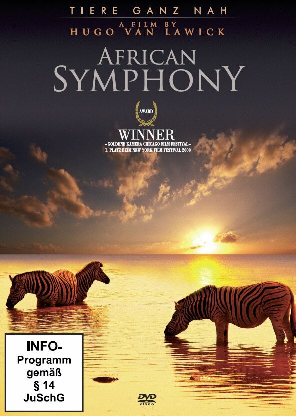 Serengeti Symphony