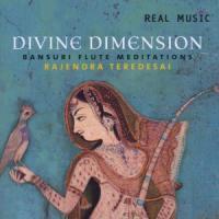 Rajendra Teredesai - Divine Dimension
