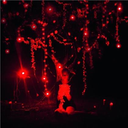 Sophie Hunger - Danger Of Light (Deluxe Edition, 2 CDs)