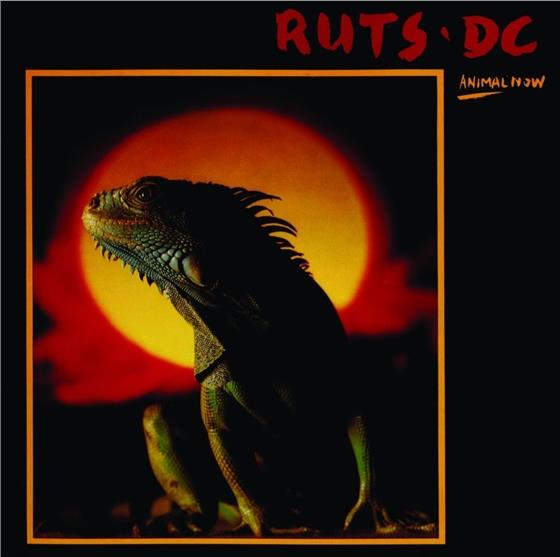 Ruts Dc - Animal Now - +Bonustracks