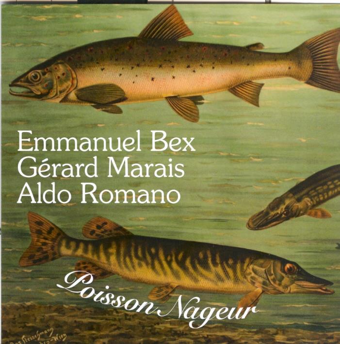 Emmanuel Bex - Poisson Nageur