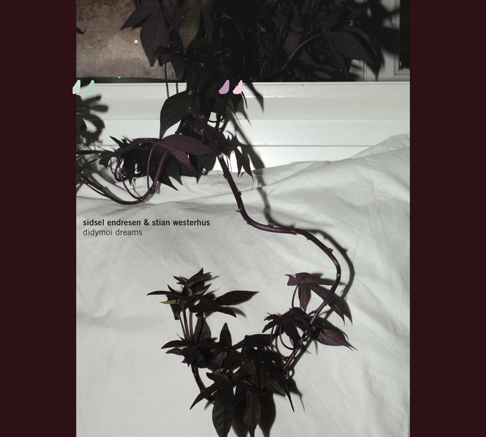 Sidsel Endresen & Stian Westerhus - Didymoi Dreams