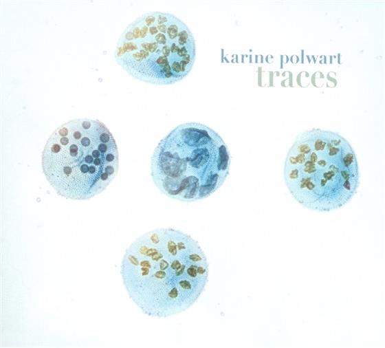 Karine Polwart - Traces