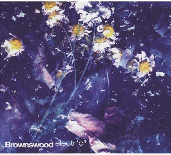 Gilles Peterson - Brownswood Electric 3