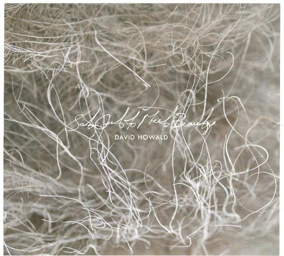 David Howald - Set Out To Meet Beauty