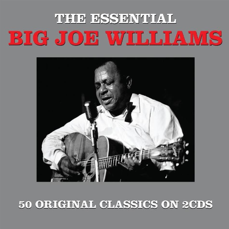 Big Joe Williams - Essential 2 CD
