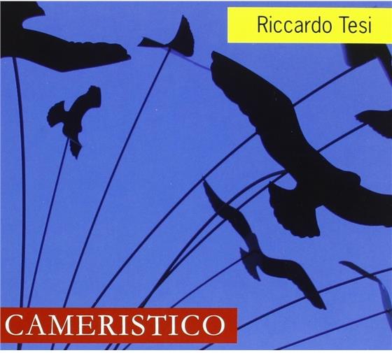 Riccardo Tesi - Cameristico