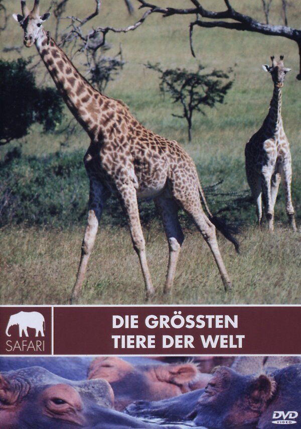 Die grössten Tiere der Welt
