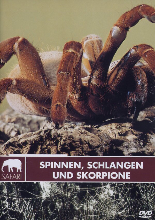 Spinnen, Schlangen und Skorpione