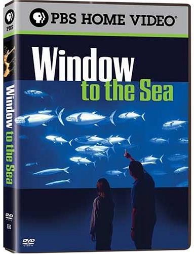 Window to the sea