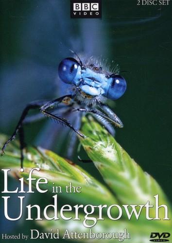 Life in the Undergrowth 2 DVD