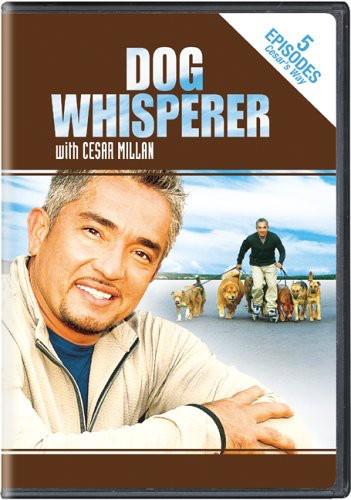 Dog whisperer with Cesar Millan - Stories from Cesar's way