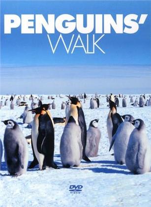 Penguins' walk
