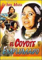 El Coyote Emplumado