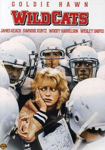 Wildcats Repackaged