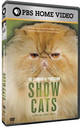 The standard of perfection: - Show cats