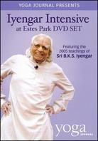 Iyengar Intensive at Estes Park 5 DVDs