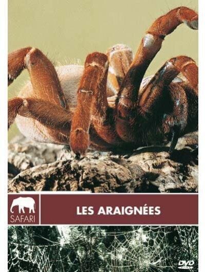 Les araignées Collection Safari
