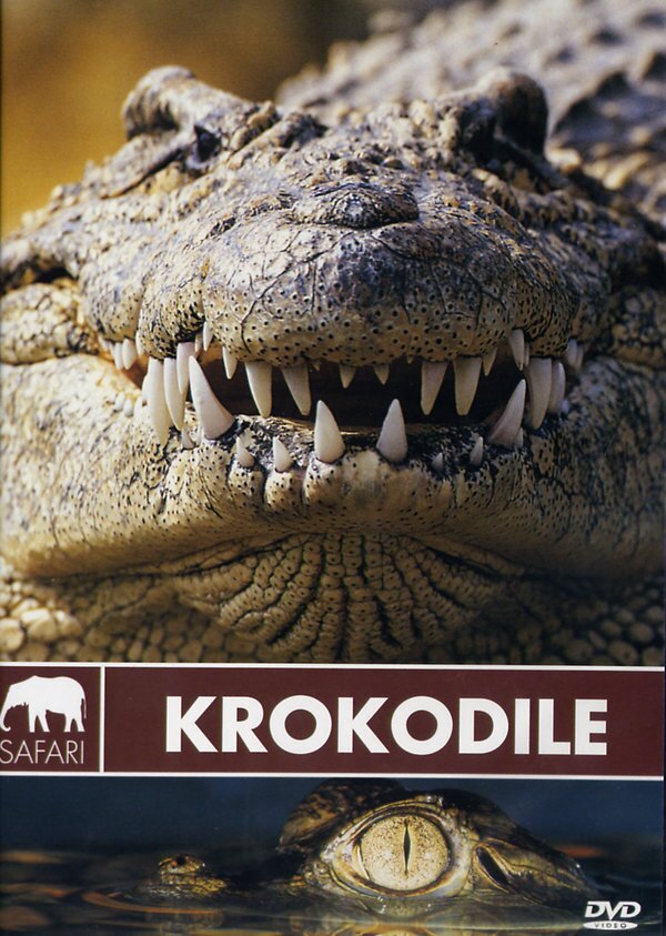 Krokodile