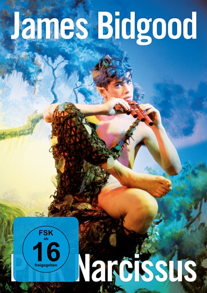 Pink Narcissus (1971)