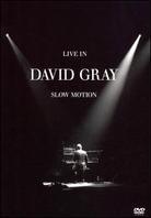 Gray David - Live in Slow Motion