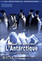 L'Antarctique, une aventure différente Imax