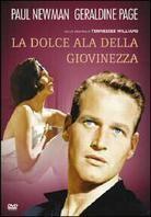 La dolce ala della giovinezza - Sweet bird of youth (1962) (1962)