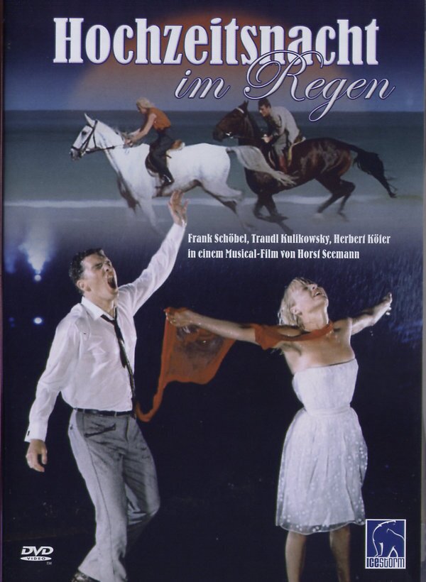 Hochzeitsnacht im Regen (1967)