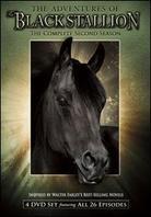 The Adventures of Black Stallion - Season 2 4 DVD
