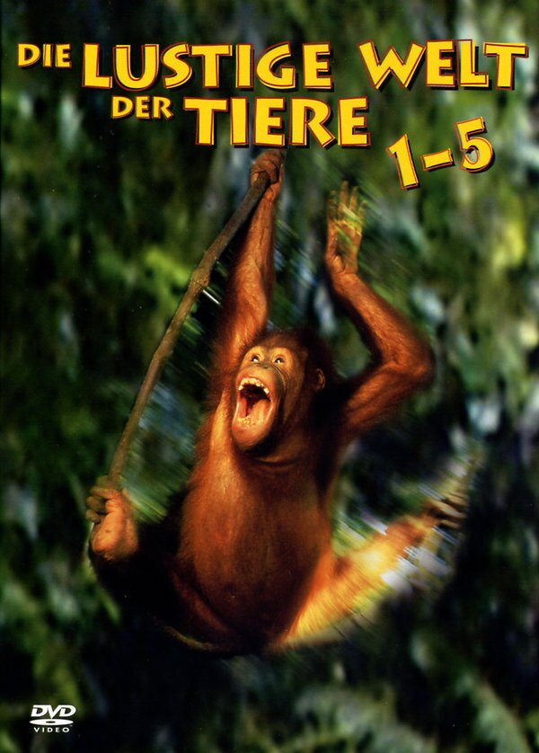 Die lustige Welt der Tiere - Box 1 - 5 5 DVDs