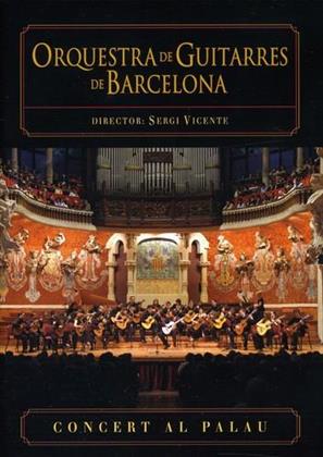 Orquestra De Guitarres De Barcelona - Concert Al Palau