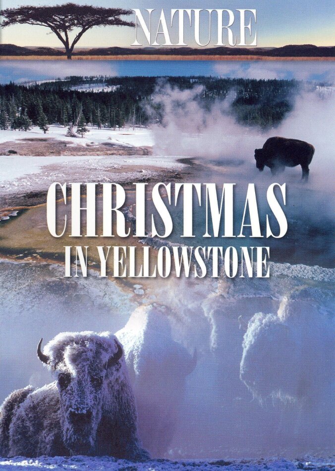 Nature - Christmas in Yellowstone