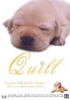 Quill